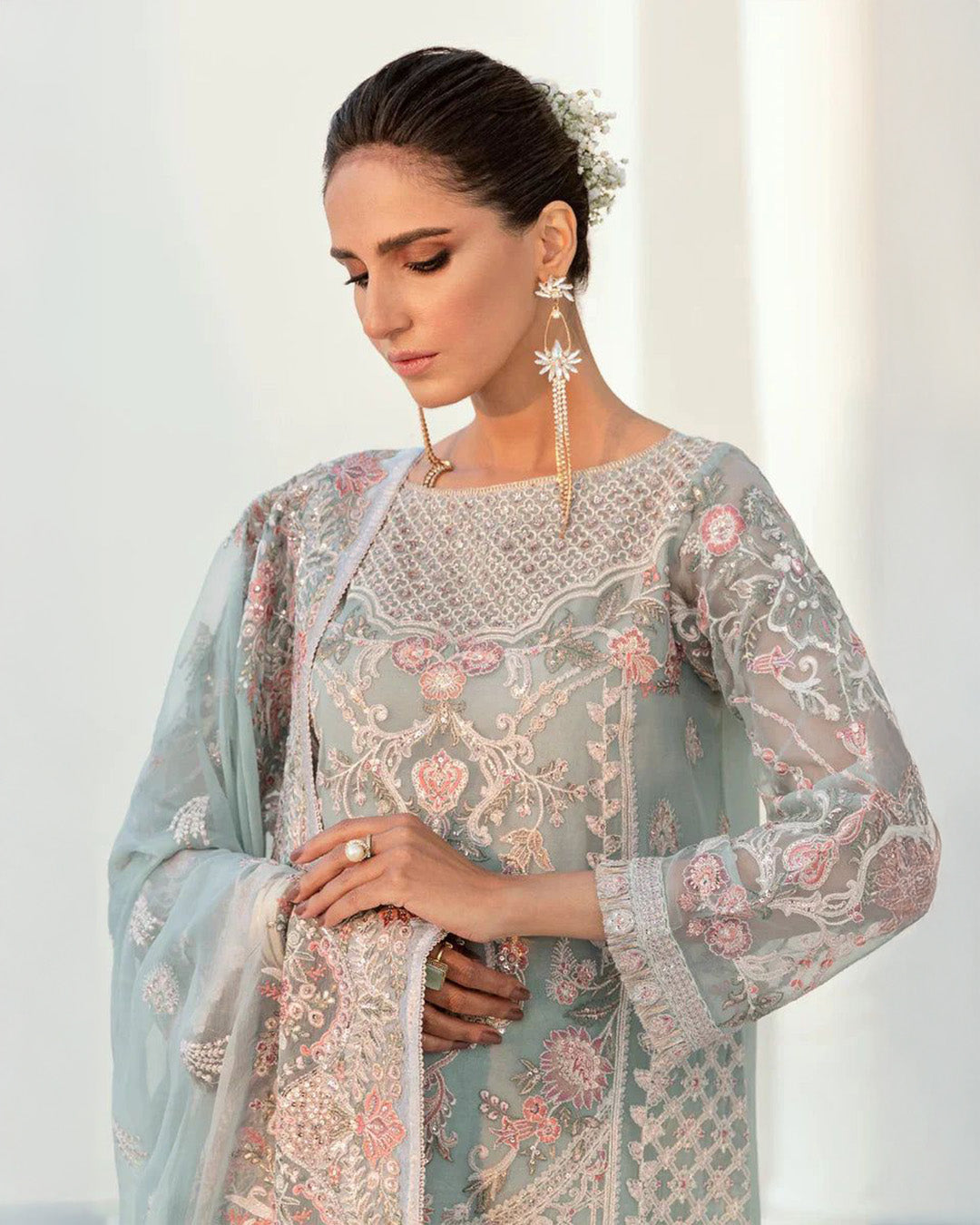 Chiffon Embroidered Elegance